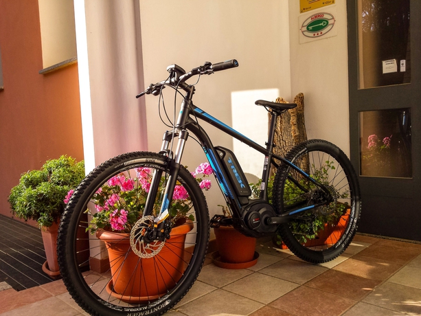 Imagen general del Hotel Pausania Inn. Foto 3