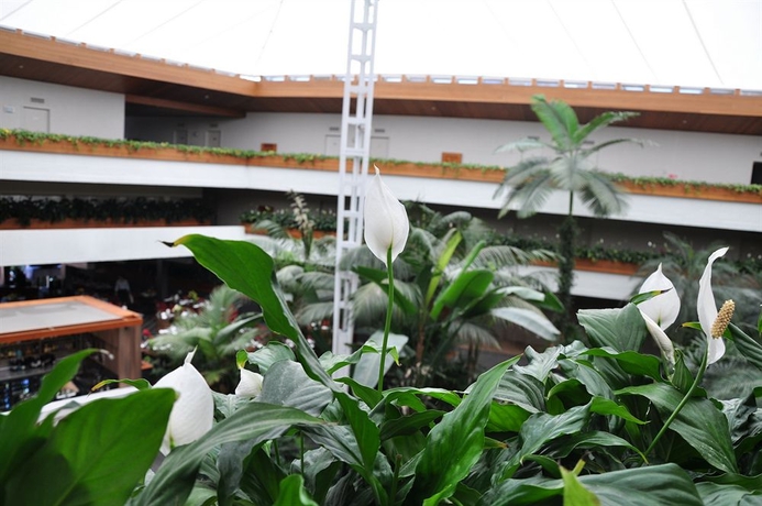 Imagen de los interiores del Hotel Pavilion On Northbourne. Foto 11