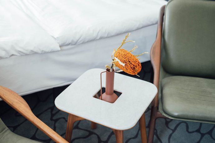 Imagen de la habitación del Hotel Pavilion and Social Club. Foto 15