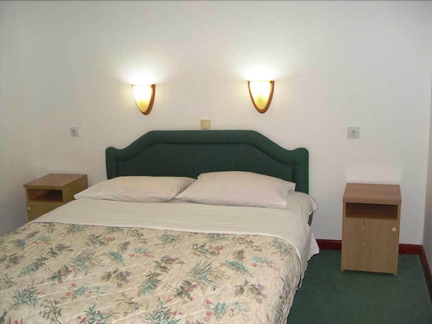 Imagen de la habitación del Hotel Pavlovic. Foto 6