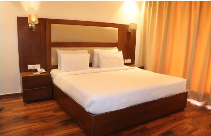 Imagen de la habitación del Hotel Pavna Palace. Foto 2