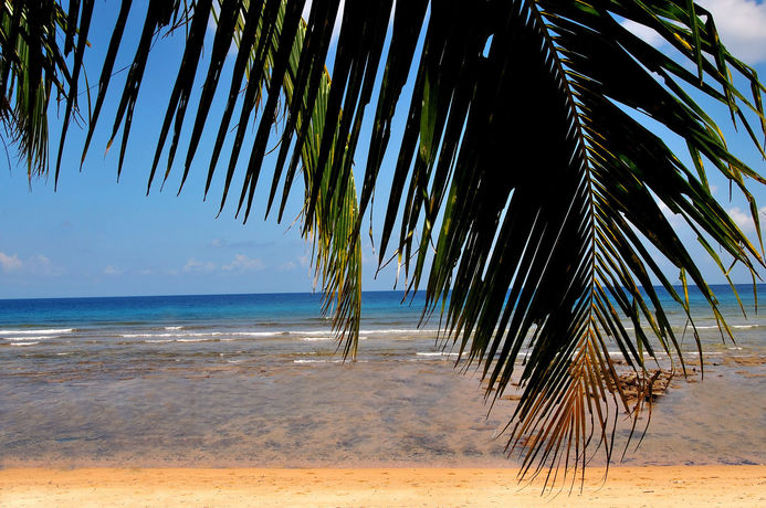 Imagen del bar/restaurante del Hotel Paya Beach Spa And Dive Resort. Foto 3