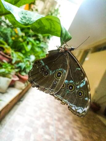 Imagen general del Hotel Payanito. Foto 4