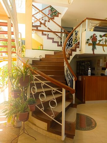 Imagen general del Hotel Payanito. Foto 11