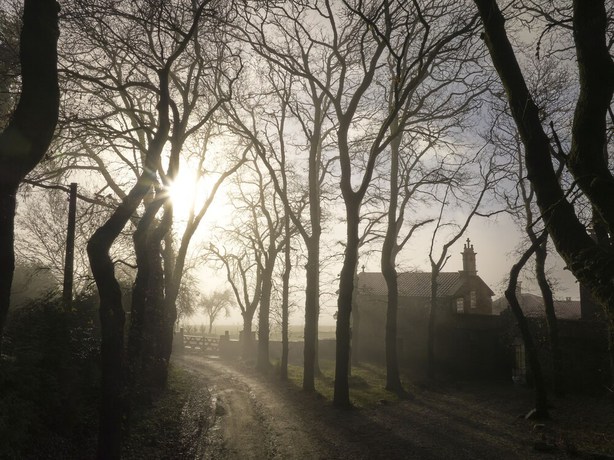 Imagen general del Hotel Pazo De Bieite. Foto 6