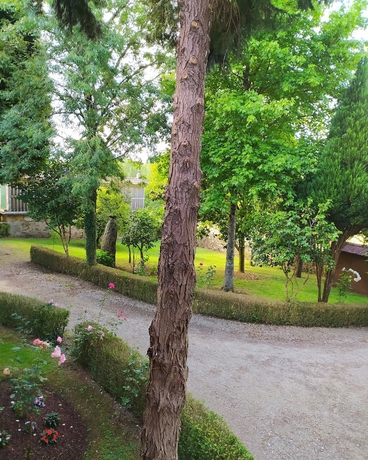 Imagen de la habitación del Hotel Pazo Xan Xordo. Foto 16