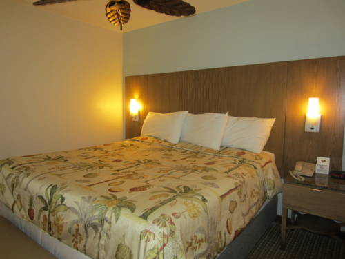Imagen de la habitación del Hotel Pb Surf Beachside Inn. Foto 11