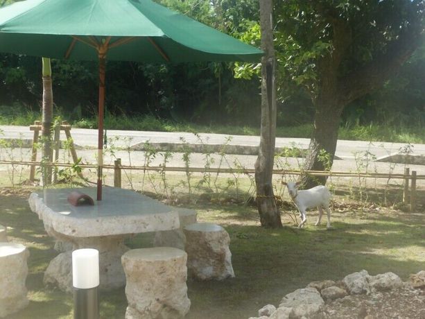 Imagen de los exteriores del Hotel Peace Island Taketomijima. Foto 10