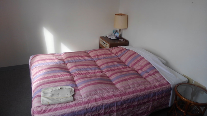 Imagen de la habitación del Hotel Peace Land Ishigakijima. Foto 10