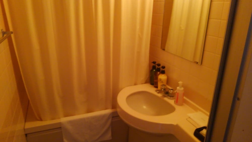 Imagen de la habitación del Hotel Peace Land Ishigakijima. Foto 14