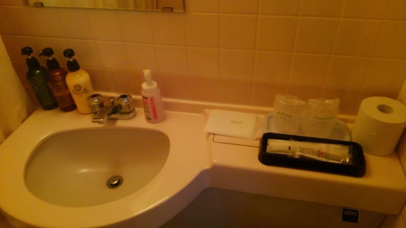 Imagen de la habitación del Hotel Peace Land Ishigakijima. Foto 15