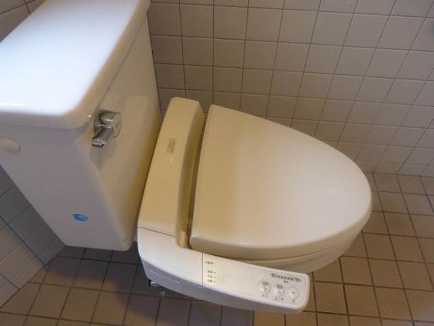 Imagen de la habitación del Hotel Peace Land Naha. Foto 8