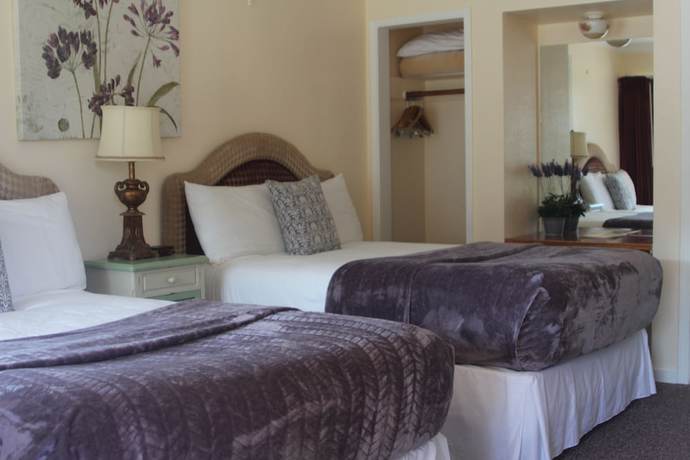 Imagen de la habitación del Hotel Peach Tree Inn, San Luis Obispo. Foto 11