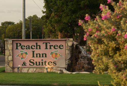 Imagen de la habitación del Hotel Peach Tree Inn and Suites. Foto 2