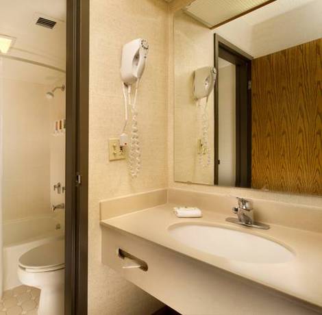 Imagen de la habitación del Hotel Pear Tree Inn St. Louis Airport. Foto 8