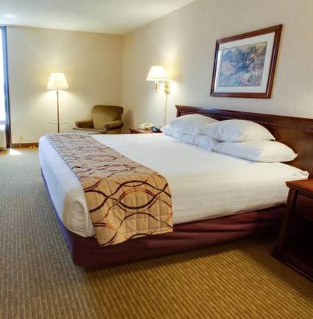 Imagen de la habitación del Hotel Pear Tree Inn St. Louis Arnold. Foto 6