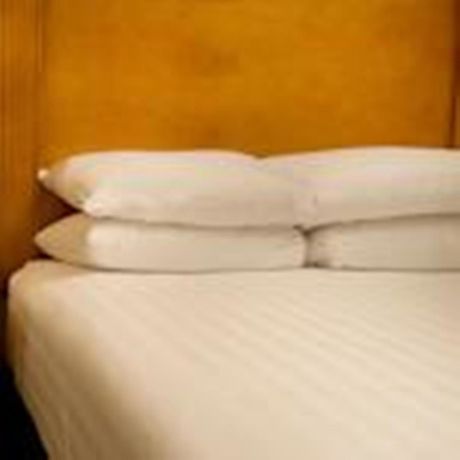Imagen general del Hotel Pear Tree Inn St. Louis Convention Center. Foto 1