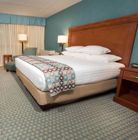 Imagen de la habitación del Hotel Pear Tree Inn St. Louis Near Union Station. Foto 6