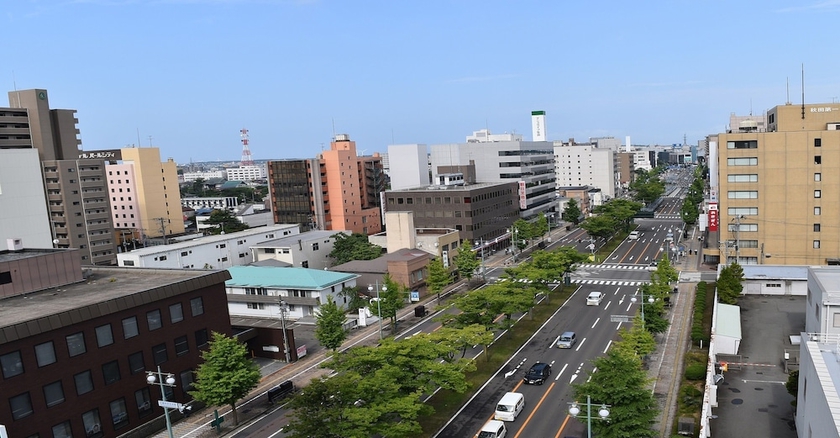 Imagen de la habitación del Hotel Pearl City Akita Kanto-odori. Foto 12