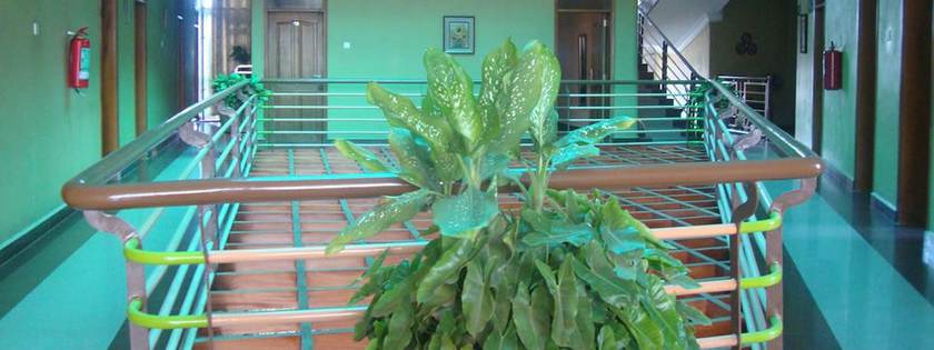 Imagen de los interiores del Hotel Pearl Highway. Foto 15