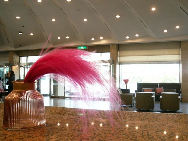 Imagen general del Hotel Pearl Jeju. Foto 4