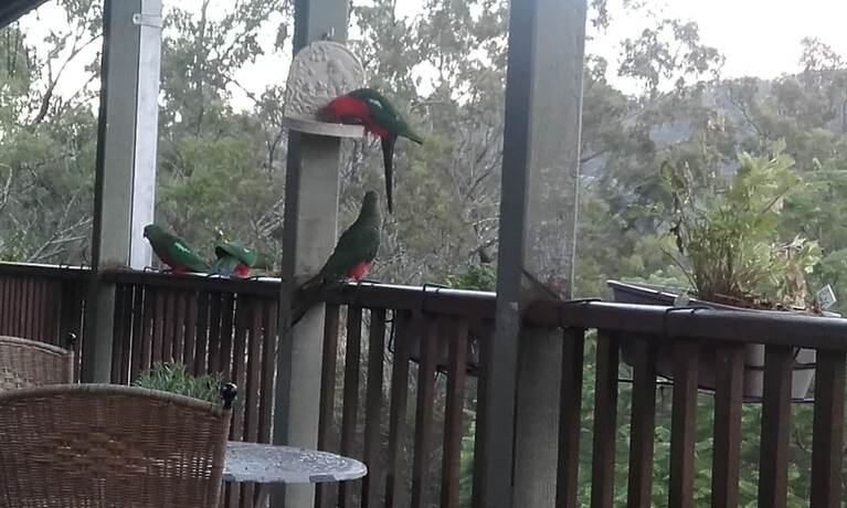 Imagen general del Hotel Pearl Of Contentment Retreat. Foto 9