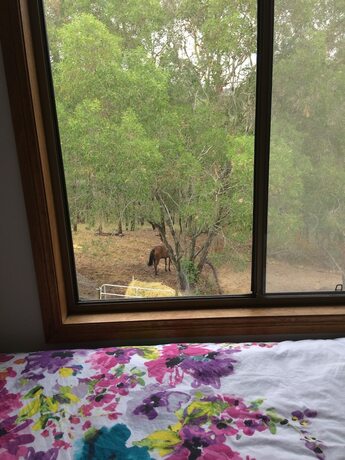 Imagen de la habitación del Hotel Pearl Of Contentment Retreat. Foto 16