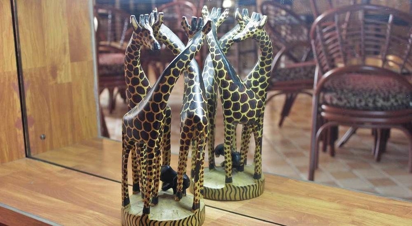 Imagen de los interiores del Hotel Pearl Palace. Foto 12