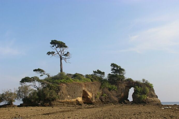 Imagen general del Hotel Pearl Park Beach Resort Private Limited. Foto 18