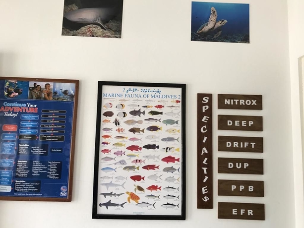 Imagen general del Hotel Pearl Sands Of Maldives. Foto 3