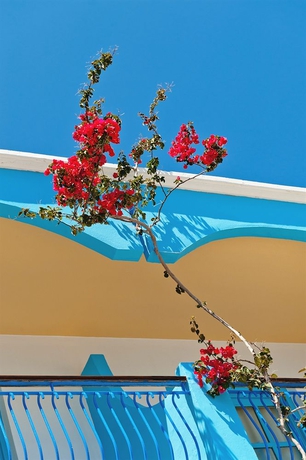 Imagen general del Hotel Pedi Beach. Foto 3