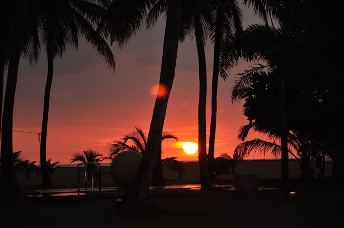 Imagen de los exteriores del Hotel Pegasus Reef. Foto 10