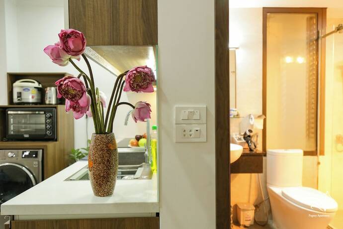 Imagen general del Hotel Pegasy Apartments and Travel. Foto 13
