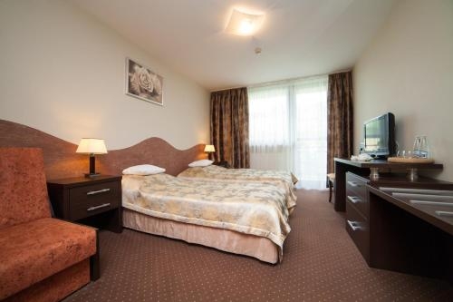 Imagen de la habitación del Hotel Pegaz. Foto 7