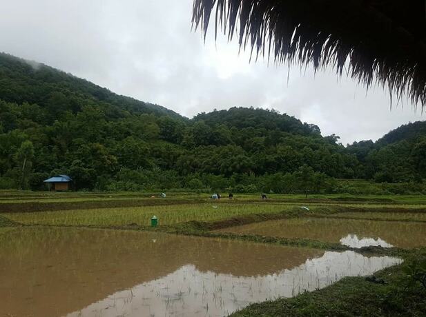 Imagen general del Hotel Peisanae Faikeng Resort. Foto 13