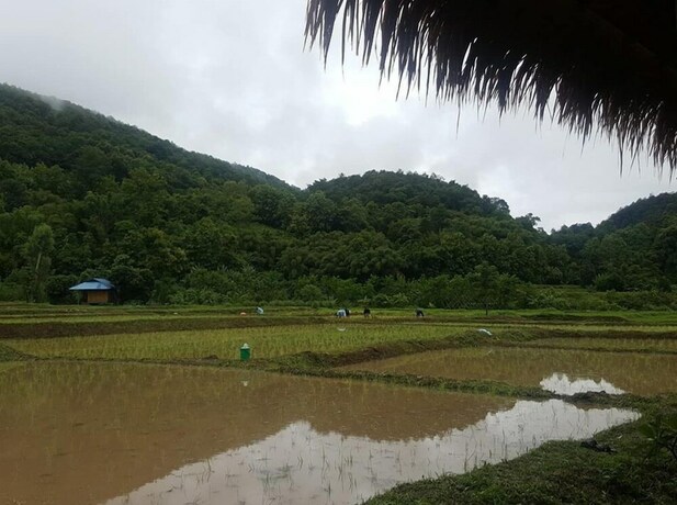 Imagen de la habitación del Hotel Peisanae Faikeng Resort. Foto 28