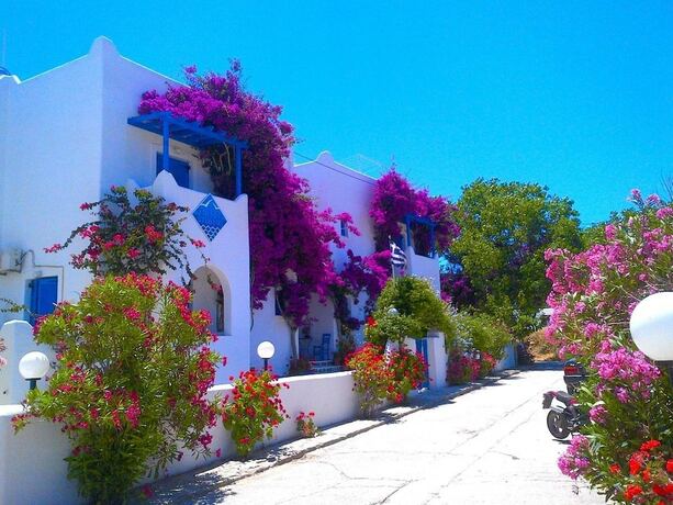 Imagen general del Hotel Pelagos Studios, Paros Ciudad. Foto 1
