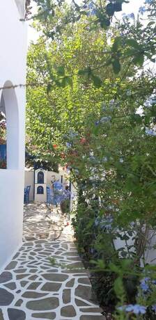 Imagen general del Hotel Pelagos Studios, Paros Ciudad. Foto 9