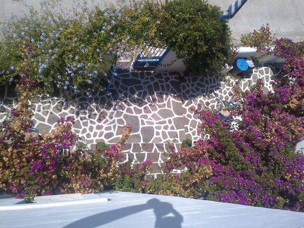 Imagen general del Hotel Pelagos Studios, Paros Ciudad. Foto 11