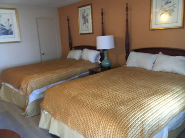 Imagen de la habitación del Hotel Pelican Inn and Suites. Foto 13