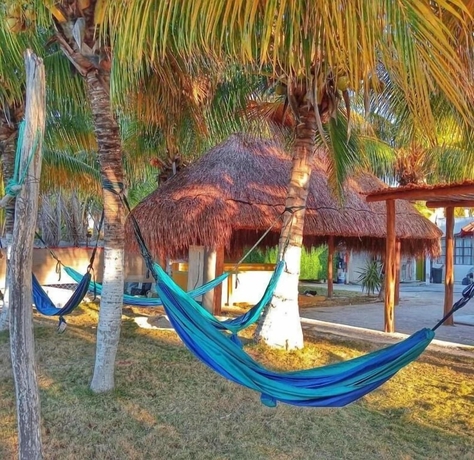 Imagen de los exteriores del Hotel Pelican Inn at Las Dunas Resort. Foto 10