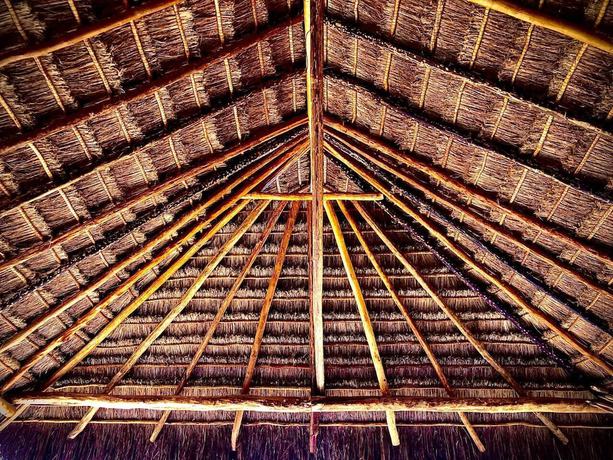 Imagen de los interiores del Hotel Pelicano. Foto 16
