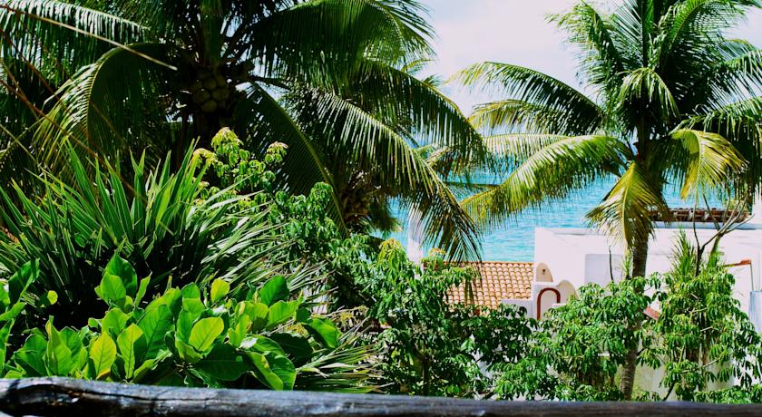 Imagen de los interiores del Hotel Pelicano Inn Playa Del Carmen - Beachfront. Foto 12