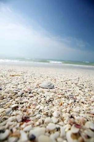 Imagen de los exteriores del Hotel Pelicans Roost Gulf Front Condos. Foto 14