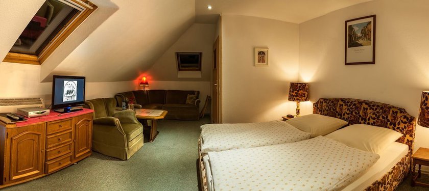 Imagen de la habitación del Hotel Pelikan, Aleksandrow Lodzki. Foto 6