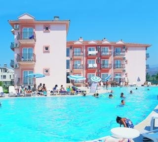 Imagen de la piscina del Hotel Pelin. Foto 15