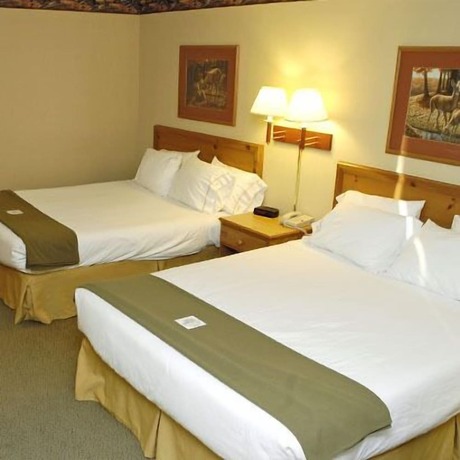 Imagen de la habitación del Hotel Pellston Lodge, Van. Foto 14
