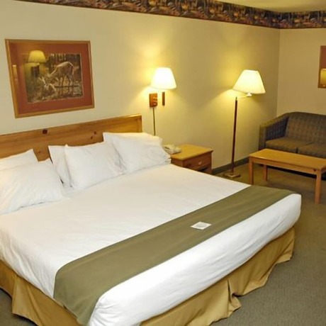 Imagen de la habitación del Hotel Pellston Lodge, Van. Foto 17