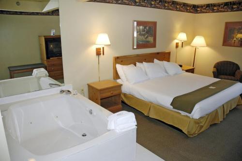 Imagen de la habitación del Hotel Pellston Lodge, Van. Foto 8