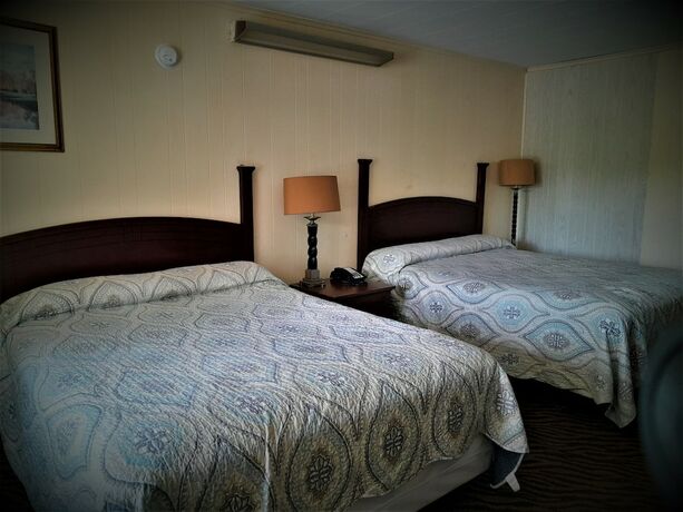 Imagen de la habitación del Hotel Peloke\'s Motel. Foto 12